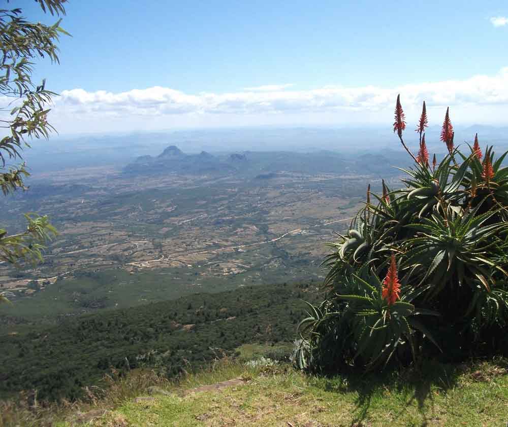 Nyanga Zimbabwe Eastern Highlands